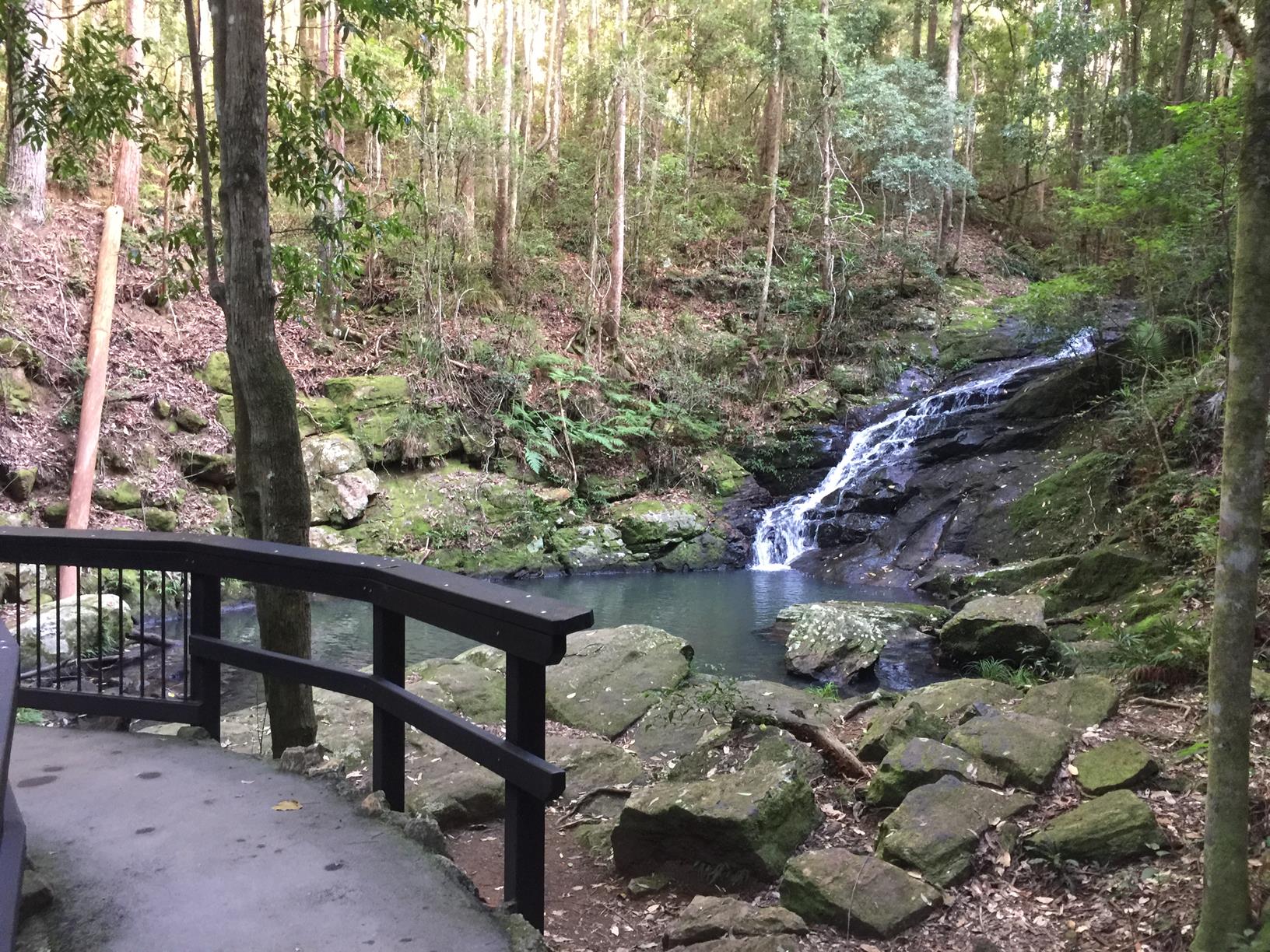 Sunshine Coast Hinterland Great Walk: Baroon Section - Adventure